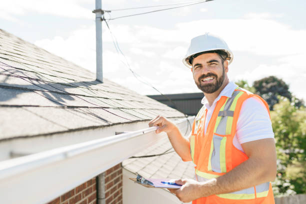 Best Roof Gutter Cleaning  in Sun Village, CA