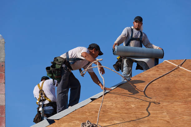 Best Metal Roofing Contractor  in Sun Village, CA
